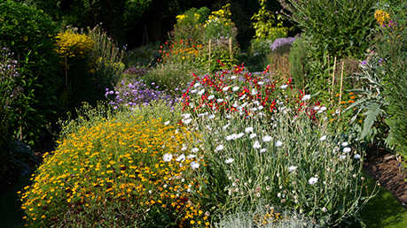 Chelsea-Physic-Garden-Add-3.jpg (1)