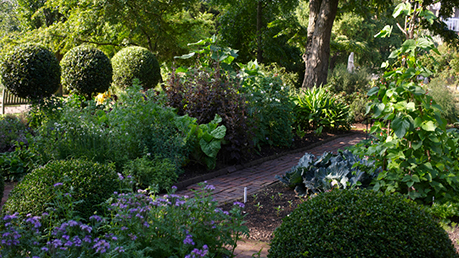 Chelsea-Physic-Garden-Detail.jpg (3)