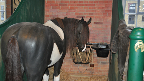 London-Canal-Museum-Add-3.jpg (1)