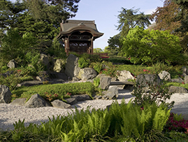 Kew Gardens Featured (1)