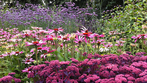 Kew Gardens Add 1 (1)