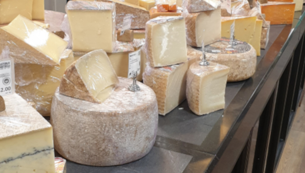 Cheese Tasting Tour ADD 5