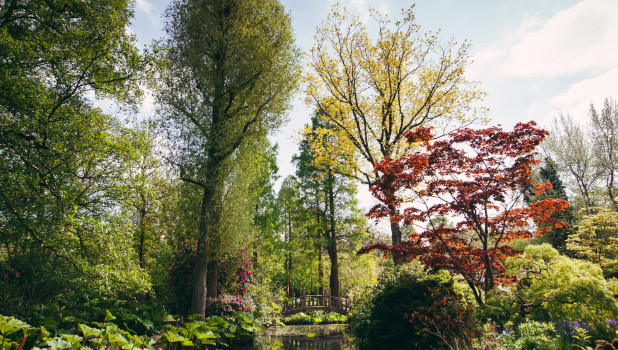 Winterborne House NEW ADD 1