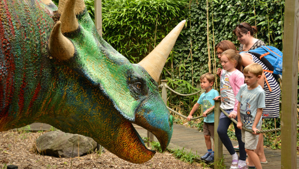 Paradise Park NEW Details