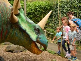 Paradise Park NEW Featured