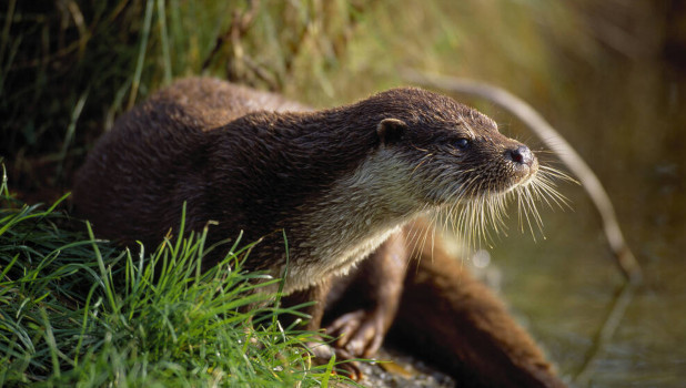 Crathes Castle ADD 2