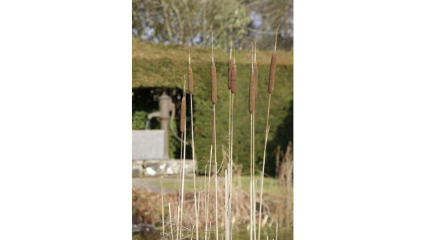 Greenbank Garden ADD 4