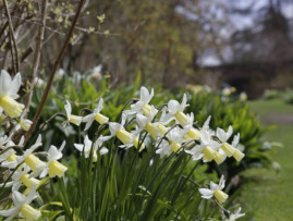 Greenbank Garden Featured