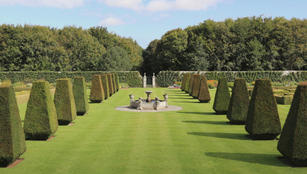 Pitmedden Garden Detail (1)