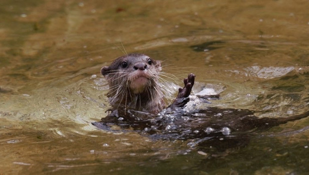 Battersea Park Childrens Zoo 2023 ADD 2