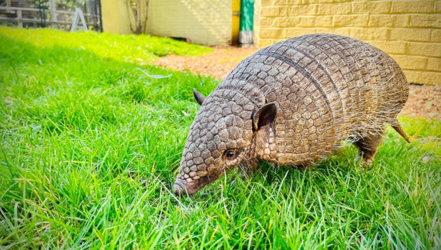 Battersea Park Childrens Zoo 2023 ADD 4