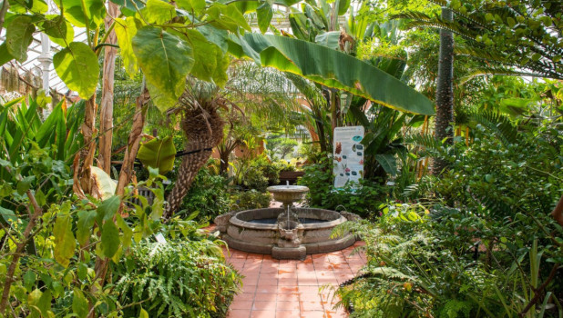 Birmingham Botanical Gardens 2023 ADD 5