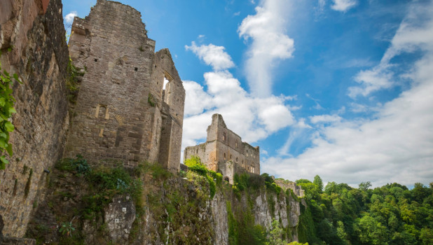 Chepstow Castle Detail