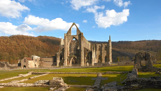 Tintern Abbey Detail