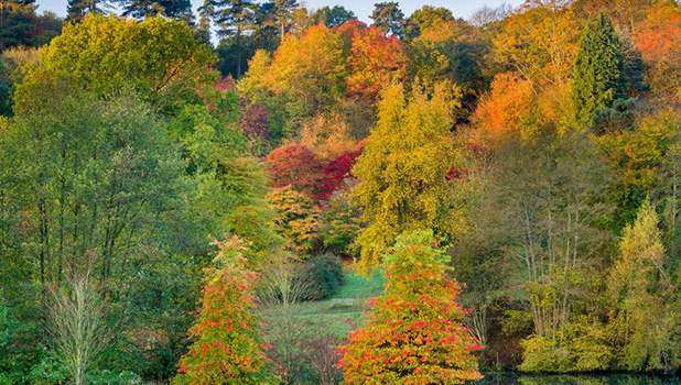 Winkworth Arboretum ADD 1