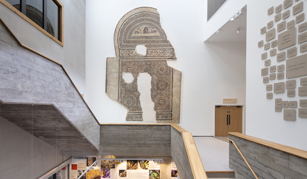 Dorset Museum & Art Gallery ADD 5