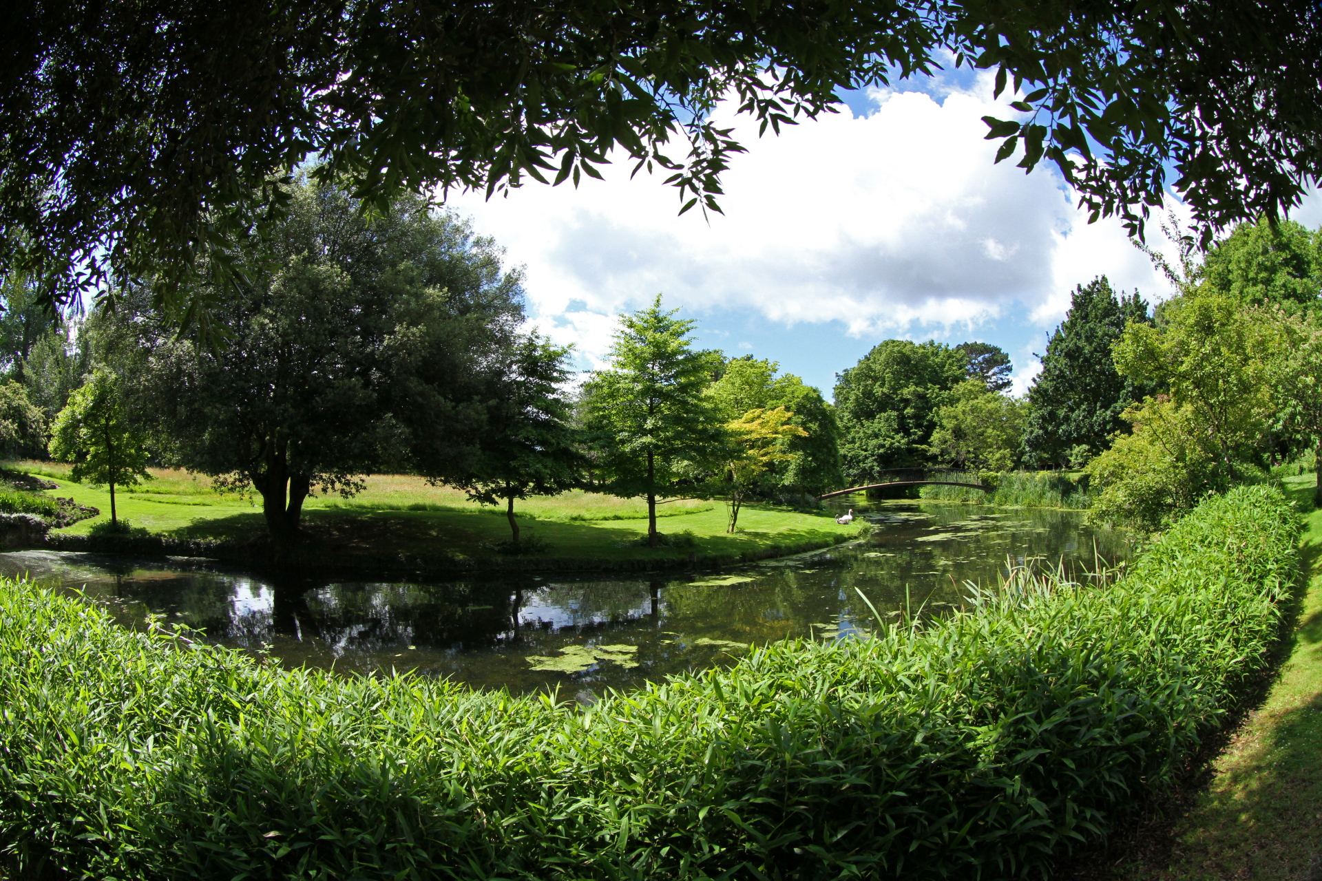 Syon Gardens And Great Conservatory Detail