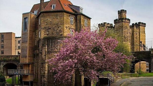 Newcastle Castle ADD 1
