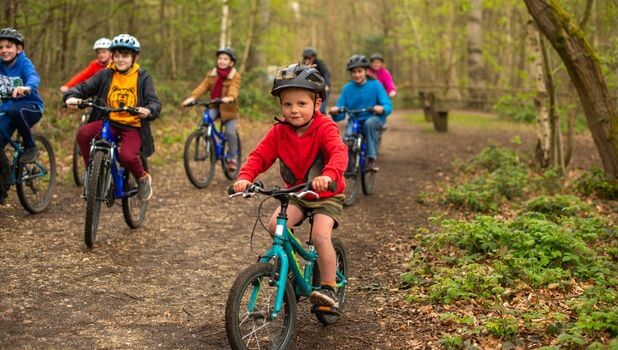 Go Ape Alice Holt ADD 3