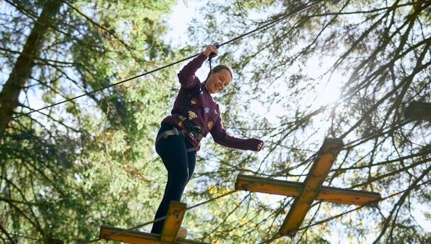 Go Ape Bedgebury Detail