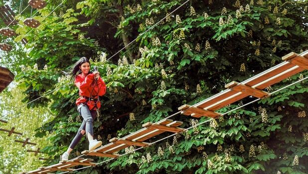 Go Ape Cockfosters ADD 3