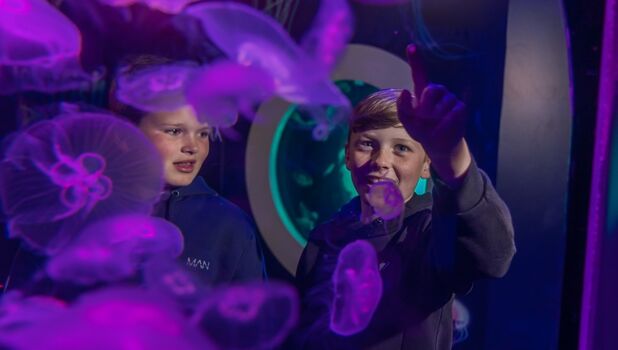 SEA LIFE Brighton ADD 2