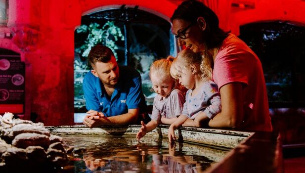 SEA LIFE Brighton Detail