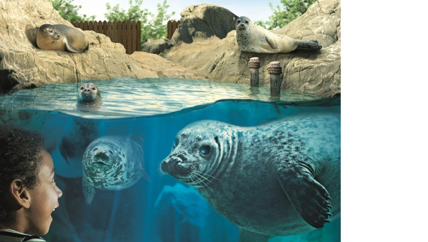 SEA LIFE Hunstanton Detail