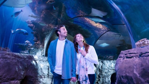 SEA LIFE London Aquarium ADD 2