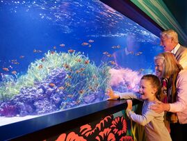 SEA LIFE London Aquarium Featured