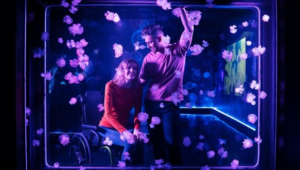 SEA LIFE Scarborough ADD 2