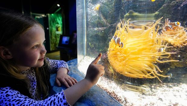 SEA LIFE Scarborough ADD 3