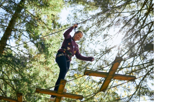 Go Ape Salcey Detail