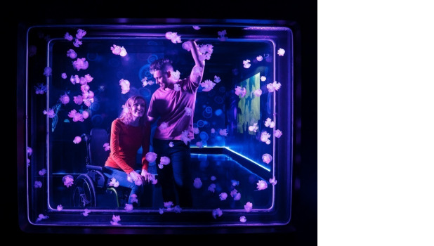 SEA LIFE Manchester ADD 3 (1)