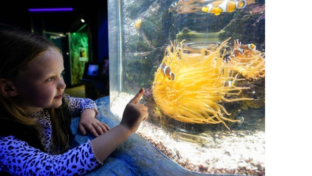 SEA LIFE Manchester ADD 4