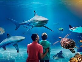 SEA LIFE Manchester Featured (1)