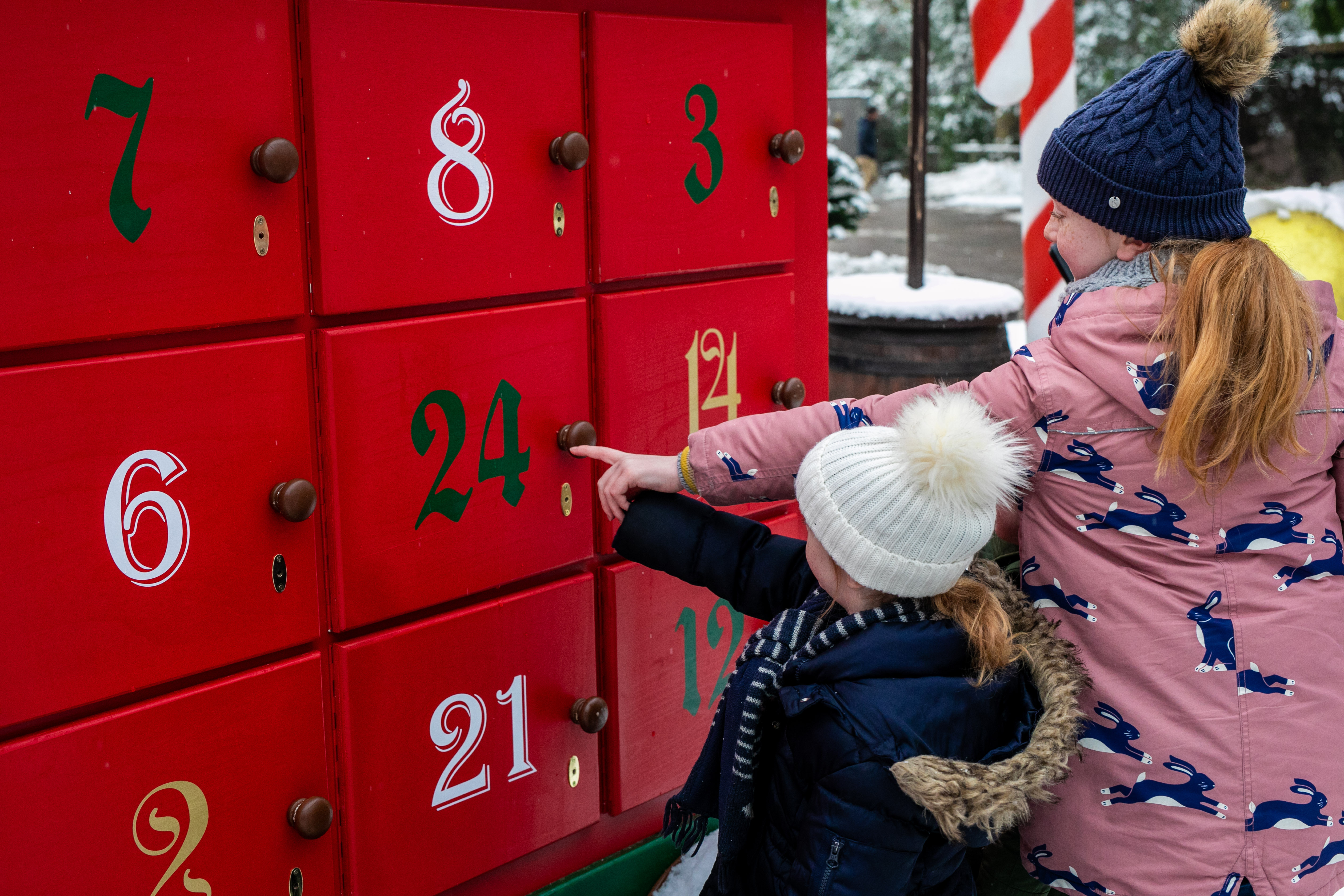 LONDON ZOO CHRISTMAS 0249
